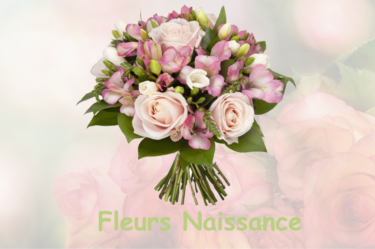 fleurs naissance CAZENEUVE-MONTAUT